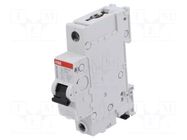 Circuit breaker; 240VAC; Inom: 10A; Poles: 1; plug-in SMISSLINE ABB