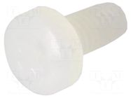 Screw; M3x6; 0.5; Head: cheese head; Phillips; polyamide; natural ESSENTRA
