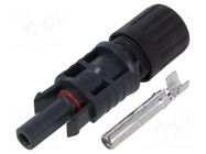 Connector: solar; plug; female; EPIC® SOLAR 4 GEN2; 50A; 1.5kV LAPP