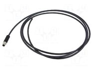 Cable: for sensors/automation; M8; PIN: 4; shielded,straight; 2m BINDER