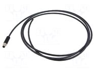 Cable: for sensors/automation; M8; PIN: 4; shielded,straight; 2m BINDER