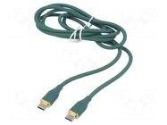 Cable; USB 2.0; USB C plug,both sides; 1.5m; green; 480Mbps; 60W GEMBIRD