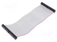 Ribbon cable with IDC connectors; Tape ph: 1.27mm; 0.2m CONNFLY