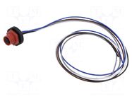 Connector: M12; socket; female; 2A; 60V; PIN: 5; IP67; straight; 500mm LUTRONIC