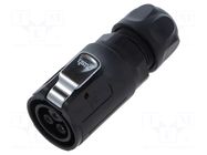 Connector: circular; plug; female; 02; 10A; 400V; PIN: 3; IP67; 7÷9mm LUTRONIC