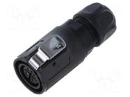 Connector: circular; plug; female; 02; 10A; 400V; PIN: 4; IP67; 7÷9mm LUTRONIC