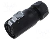 Connector: circular; plug; female; 02; 20A; 500V; PIN: 2; IP67 LUTRONIC