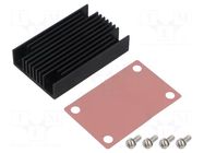 Heatsink CINCON
