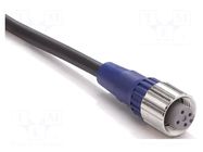 Cable: for sensors/automation; M12; PIN: 3; straight; 5m; PVC OMRON
