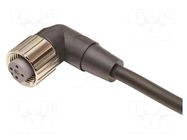 Cable: for sensors/automation; M12; PIN: 4; angled; 20m; PVC OMRON