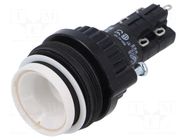 Switch: body; 30mm; Stabl.pos: 1; NC x2 + NO x2; 14; Pos: 2 EAO