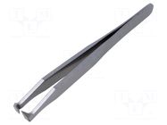 Tweezers PIERGIACOMI