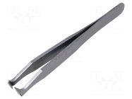 Tweezers PIERGIACOMI