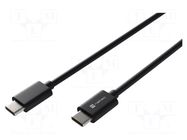 Cable; USB 2.0; USB C plug,both sides; 2m; black; Core: Cu,tinned NATEC