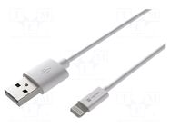 Cable; USB 2.0; Apple Lightning plug,USB A plug; 2m; white; 12W NATEC