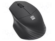 Mouse; black; USB A; wireless,optical; PnP,DPI change button NATEC