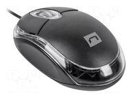 Mouse; black; USB A; optical,wired; PnP; 1.25m; No.of butt: 3 NATEC