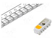 Programmable LED; RGBW; SMD; 3.5÷7.5VDC; 5x1.8x1.6mm; 120°; 12mA BRIGHTEK (EUROPE)