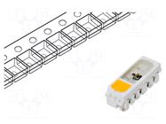 Programmable LED; RGBW; SMD; 3.5÷7.5VDC; 5x1.8x1.6mm; 120°; 12mA BRIGHTEK (EUROPE)