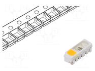 Programmable LED; RGBW; SMD; 3.5÷7.5VDC; 5x1.8x1.6mm; 120°; 12mA BRIGHTEK (EUROPE)