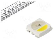 Programmable LED; RGBW; SMD; 5050,PLCC6; 3.5÷7.5VDC; 5x5x1.6mm BRIGHTEK (EUROPE)