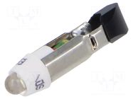 LED lamp; white; T5,5K; 24VDC; 24VAC; plastic; 3mm; -20÷60°C CML INNOVATIVE TECHNOLOGIES