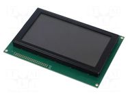 Display: LCD; graphical; 240x128; FSTN Positive; 144x104x14.1mm DISPLAY ELEKTRONIK