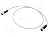 Cable: for sensors/automation; M12; PIN: 4; straight; plug; PVC HARTING
