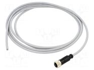 Connector: M12; plug; female; PIN: 5; straight; cables; 3m HARTING