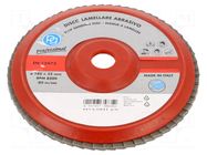 Flap grinding wheels; Ø: 180mm; Granularity: 120; wood,metal; 22mm PG PROFESSIONAL