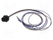 Connector: M12; socket; female; 2A; 60V; PIN: 5; IP67; straight; 500mm LUTRONIC