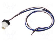 Connector: M12; socket; male; 4A; 250V; PIN: 4; IP67; straight; cables LUTRONIC