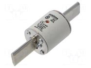 Fuse: fuse; 40A; 500VAC; gG; industrial; NHg NIKDIM LTD