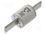 Fuse: fuse; 75A; 500VAC; gG; industrial; NHg NIKDIM LTD