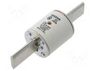 Fuse: fuse; 250A; 500VAC; gG; industrial; NHg NIKDIM LTD