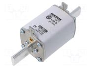 Fuse: fuse; 100A; 800VAC; gG; industrial; NH1 NIKDIM LTD