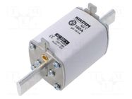 Fuse: fuse; 160A; 800VAC; gG; industrial; NH1 NIKDIM LTD
