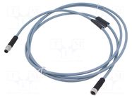 Cable: for sensors/automation; PIN: 3; straight; 2m; plug; 60VDC BINDER