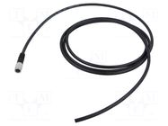 Cable: for sensors/automation; PIN: 7; shielded,with leads; 2m BINDER