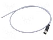 Connector: M12; plug; female; PIN: 3; straight; cables; 1m HARTING