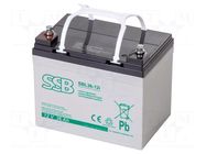 Re-battery: acid-lead; 12V; 36Ah; AGM; 192x130x168mm SSB