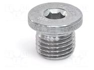 Hexagon head screw plug; without seal; Thread: M8; DIN 908 ELESA+GANTER