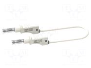 Test lead; banana plug 4mm,both sides; with sliding cover CAL TEST