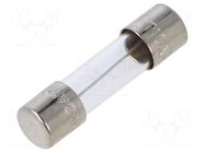 Fuse: fuse; 10A; 250VAC; time-lag; cylindrical,glass; 5x20mm; S506 EATON/BUSSMANN