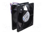 Fan: DC; axial; 24VDC; 119x119x38mm; ball; 2800rpm; IP22 EBM-PAPST