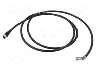 Cable: for sensors/automation; M12; PIN: 12; straight; 2m; socket KÜBLER