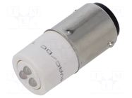 LED lamp; white; BA15D; 24VDC; 24VAC; plastic; -20÷60°C CML INNOVATIVE TECHNOLOGIES