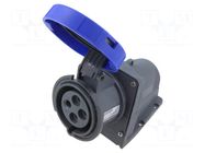 Connector: AC supply 3-phase; socket; female; PIN: 4; 30A; 250V AMPHENOL