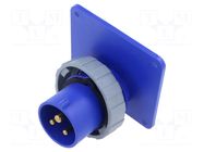 Connector: AC supply 3-phase; socket; male; 16A; 250VAC; 250V; IP&S AMPHENOL