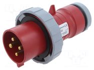 Connector: AC supply 3-phase; plug; male; 32A; 440V; IP&S; IP69K AMPHENOL